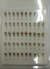 планшет  тип - 7/1 (уп 50 шт) муравьи